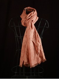 Mesh Print Bagru, Tussar Stole