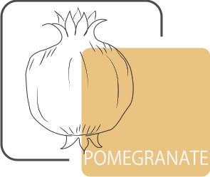 Pomegranate